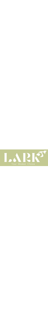 lark logo
